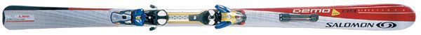 SALOMON Demo 9 Pilot 2005